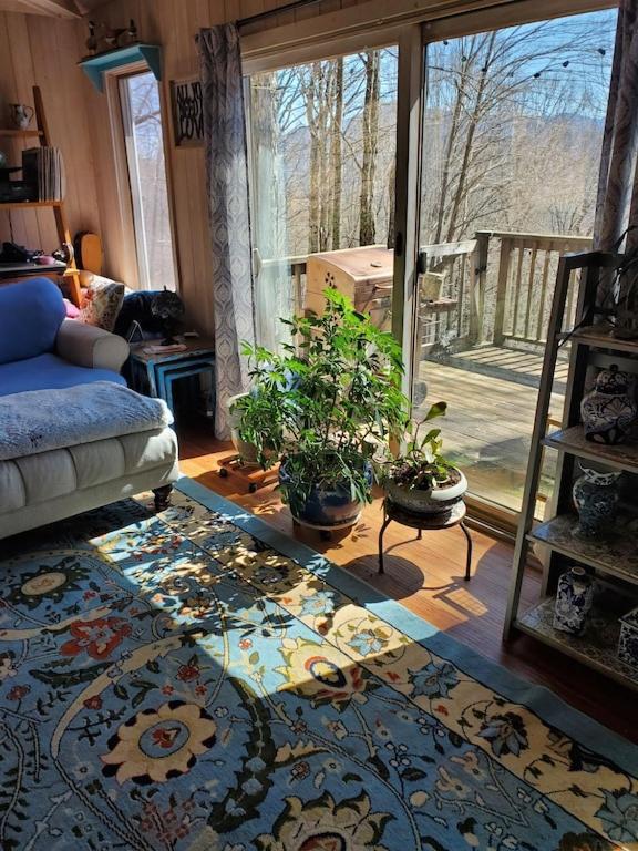 Burnsville Treehouse Cathedral In Blue Ridge Mountains, Ncヴィラ エクステリア 写真